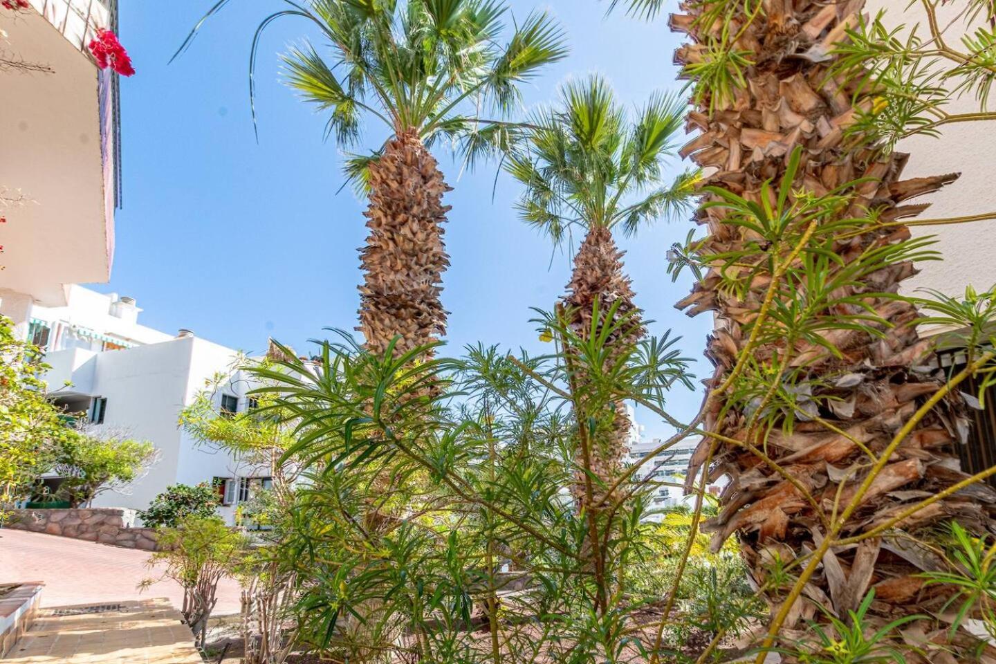 Apartment Gigantes Tamara By Dream Homes Tenerife *